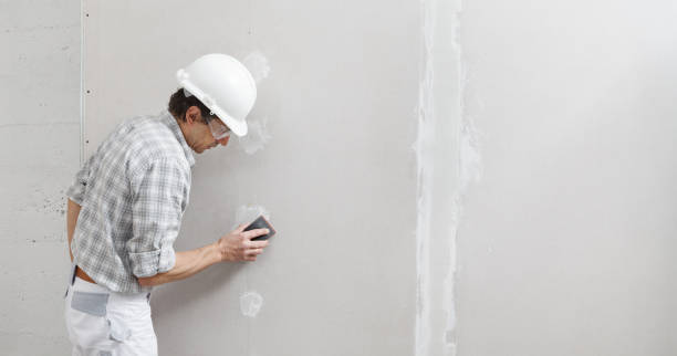 Best Drywall Sanding and Smoothing  in Sycamore, IL